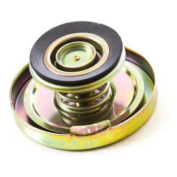 Tampa Radiador Caminhões Vw 14.210/16.210 Agrale 13 Lbs 